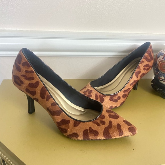 Comfort Plus By Predictions Pumps